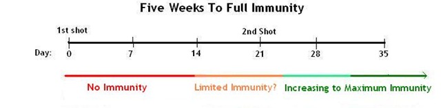 [Immunity[15].jpg]