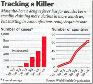 Dengue Trends