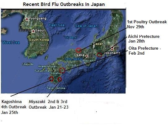[Bird Flu Japan[11].jpg]