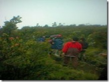 Pesona Mistis Gunung Lawu