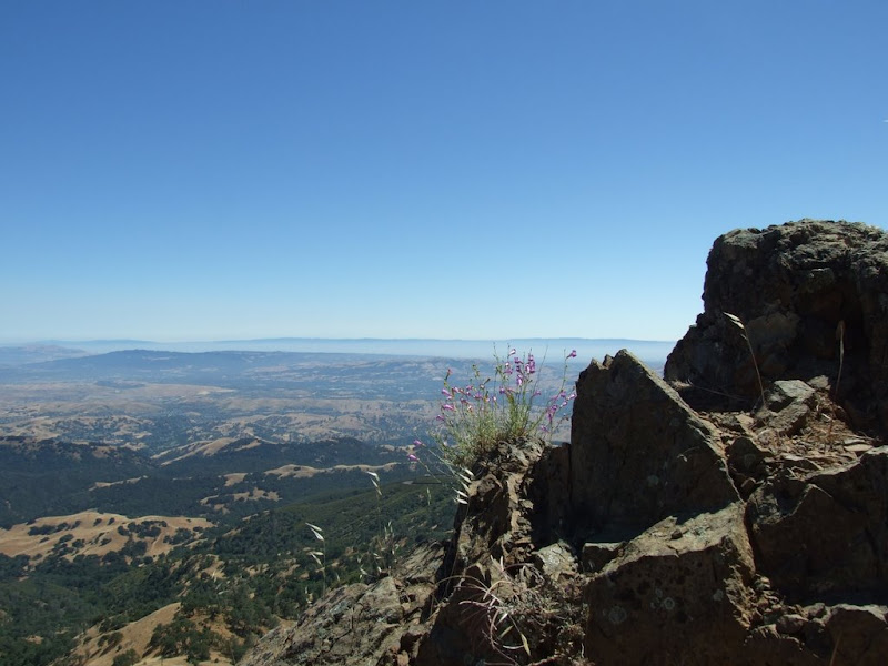Mount Diablo State Park
