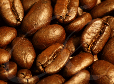 Coffee Logo Animation