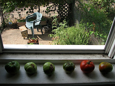 Sill-ripened.