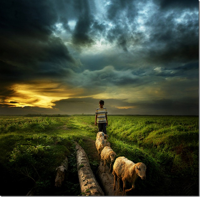 Go home by Teuku Jody Zulkarnaen