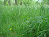 DSC00623.JPG