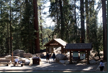 Sequoia National Park 138