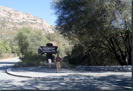 Sequoia National Park 026