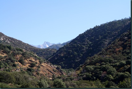Sequoia National Park 059 Sequoia National Park 059