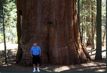 Sequoia National Park 112