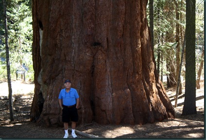 Sequoia National Park 112 Sequoia National Park 112