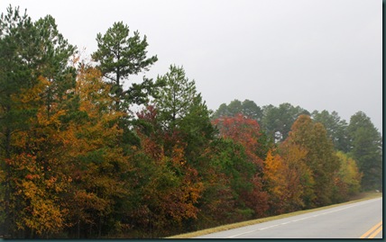 SE OK fall colors 087 SE OK fall colors 087