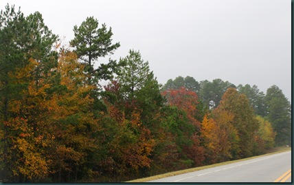 SE OK fall colors 087