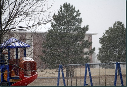 Snow, bread and geese 033