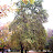 100_5405.JPG