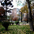 DSCF2436.JPG