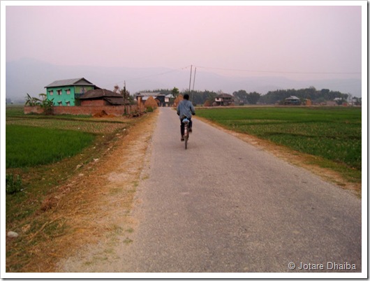 Cycling Cycling