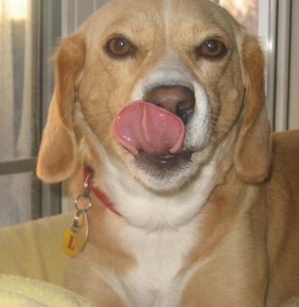 [lucy[4].jpg]