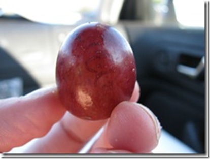 IMG_4982_thumb