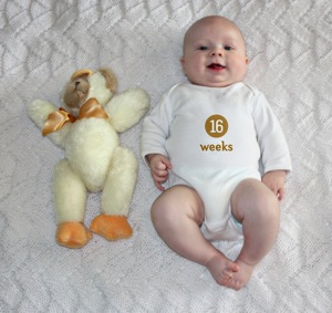 16Weeks2