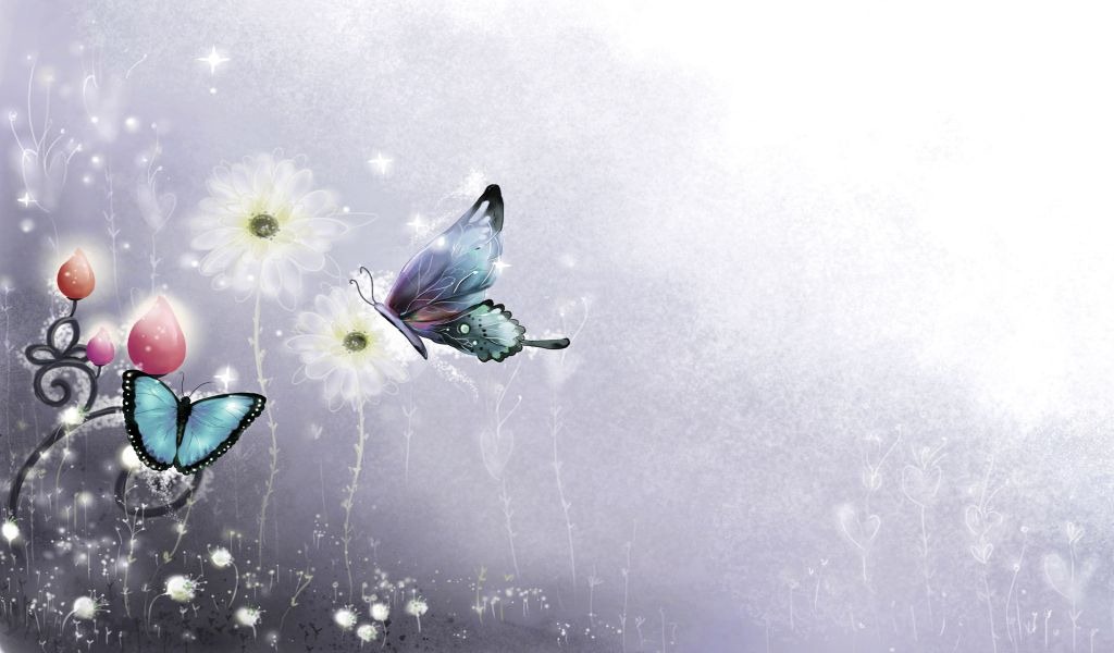 [butterflies[3].jpg]