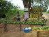 fruit verkoop langs de weg