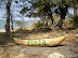 De FloJa kano De FloJa kano