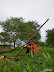 Electriciteitspalen zetten