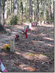 2010-10 trace,Ala.music Hall of Fame and Elvis Birthplace 101