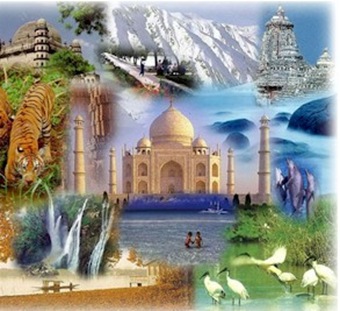india