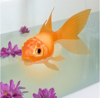 [color-changing-goldfish[3].jpg]