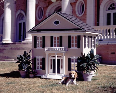 [Dog-House-amarjits (20)[2].jpg]