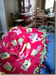 blanket2
