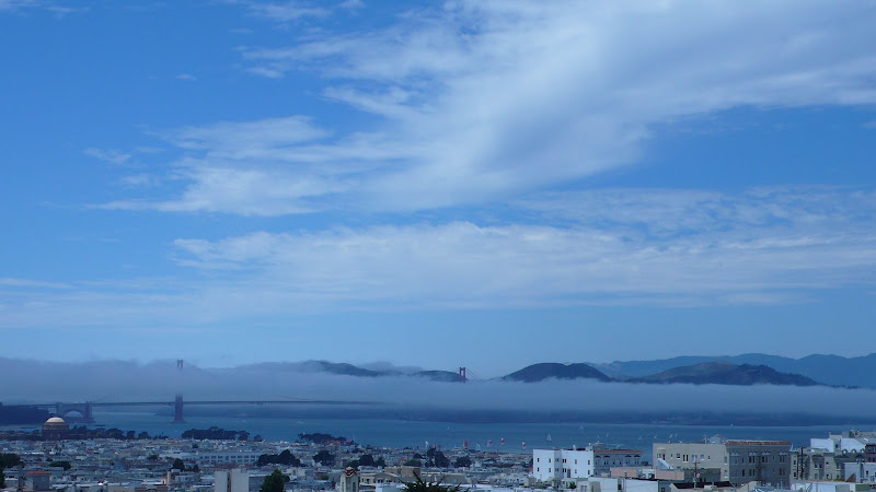 aww... yup, foggy