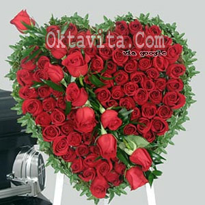 Mawar Kado Valentine