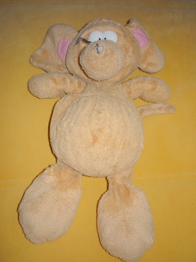IMG:http://lh6.ggpht.com/_CXJU66jsgic/TEwvFIchdBI/AAAAAAAAE8U/LCofBv4MDcY/s512/P1010048.JPG