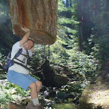 The Hercules of Berry Creek - August 8, 2004