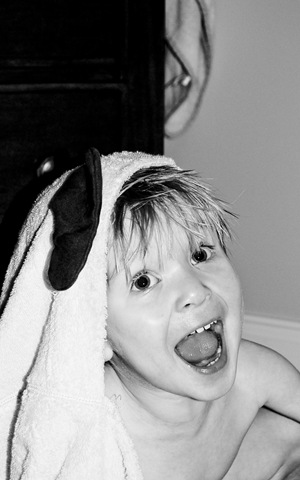 [Skylatr towel bw[12].jpg]