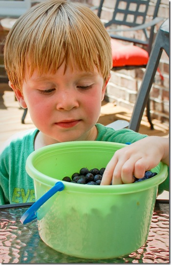 skylar and blue berries (1 of 1)