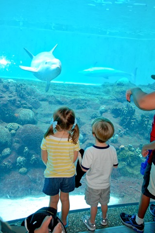 [emmaandskylarlookingatdolphins1of12.jpg]