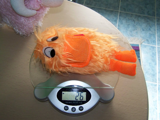 http://lh6.ggpht.com/_Cd9r9JzoApQ/S-WdsoeSvmI/AAAAAAAAC_o/jyX3sug26f0/s640/101_1755.JPG