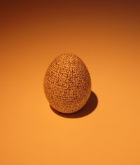 [200pxgenesisoneggcroppe[4].jpg]
