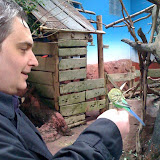 James feeds the budgie!
