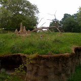 There is a tiny brown monkey in the middle of this photo. He pooped for the camera. Gross.