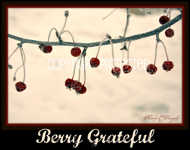 [Berry Grateful CP[2].jpg]