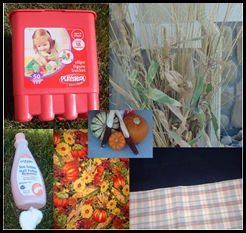 Harvest Basket Ingredients