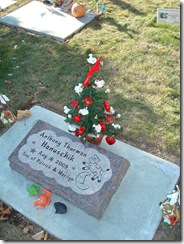 Picture 008