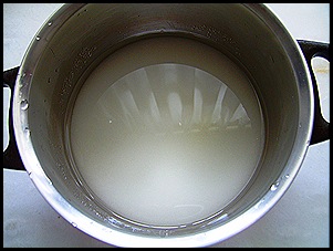SV102644 SV102644