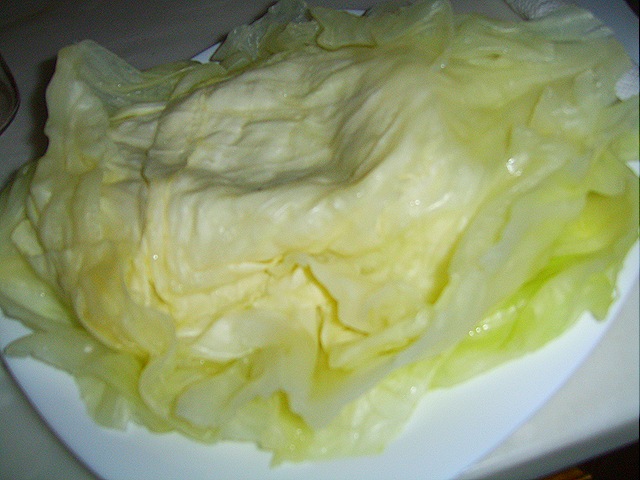 [SV1080005.jpg]