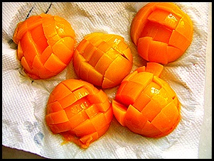 SV100205 SV100205