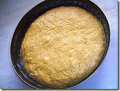 SV105794 SV105794